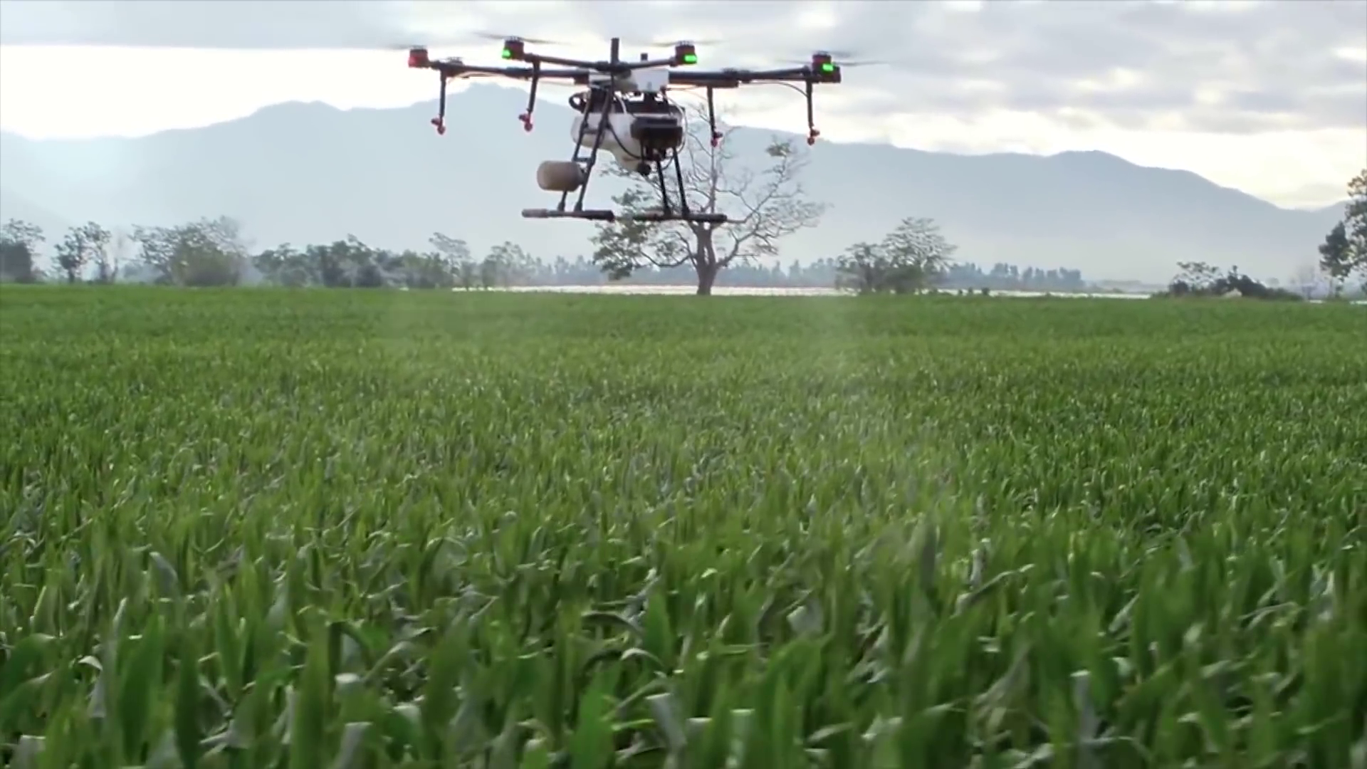 Agricultura de precision con drones